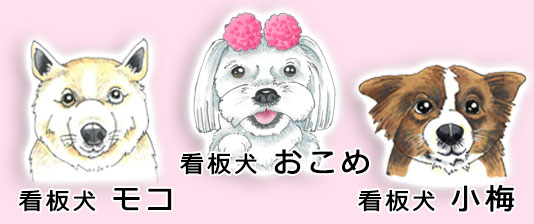 太陽不動産看板犬